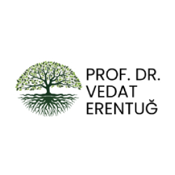 Prof. Dr. Vedat Erentuğ
